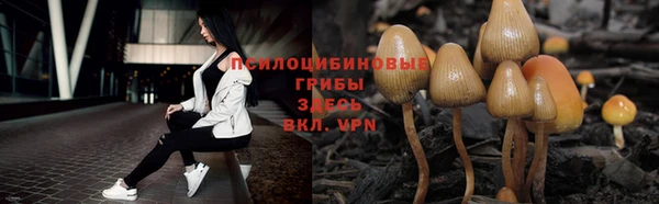 mdpv Абинск