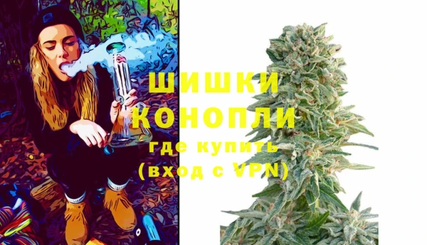 трава Абаза
