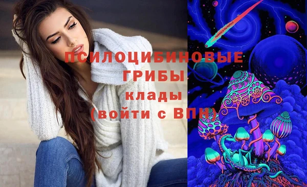 трава Абаза