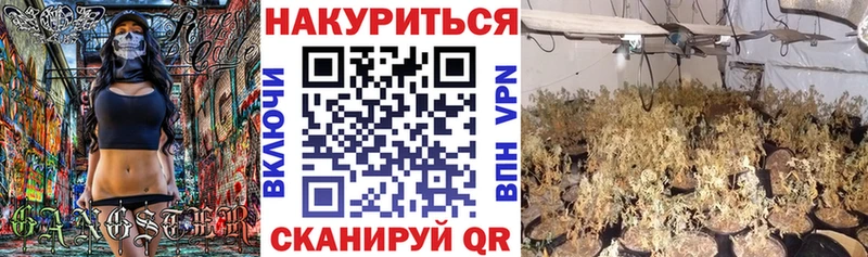 Каннабис сатива  продажа наркотиков  Калач 